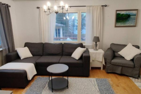 Saarijärvi - Omakotitalo, oma ranta Saarijärvi